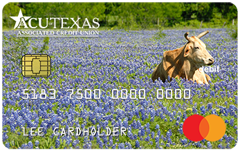 Debit-Texas-Cow-Bluebonnets